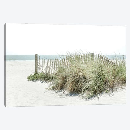 Weathered Dunes Canvas Print #PPU292} by Apryl Roland Canvas Wall Art