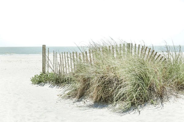 Large Photography - Canvas Prints: Weathered Dunes by Apryl Roland