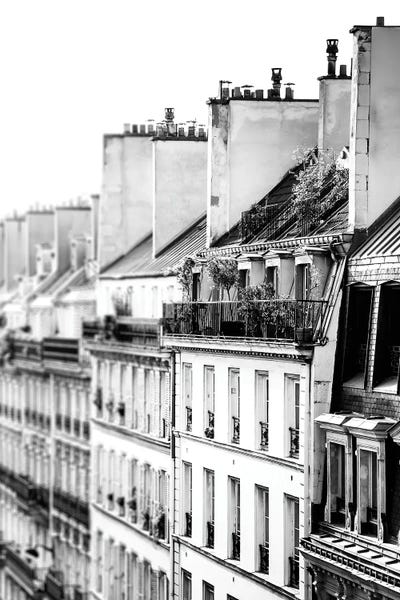 Canvas Print: Windows Black And White by Apryl Roland