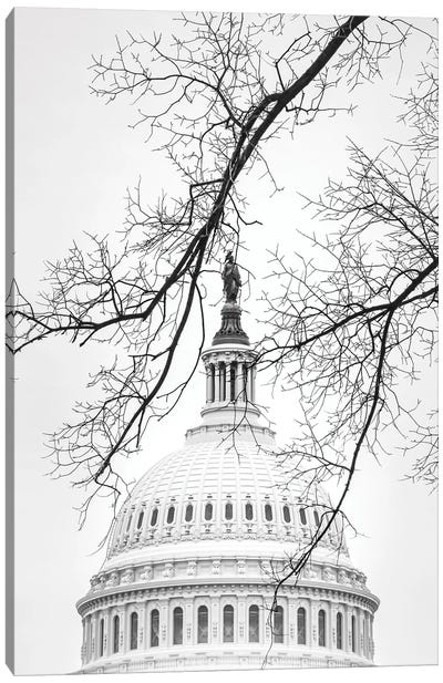 Winter Dome Canvas Art Print - Washington D.C. Art