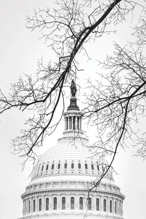 Winter Dome
