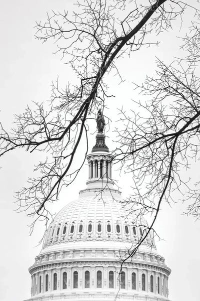 Winter Dome