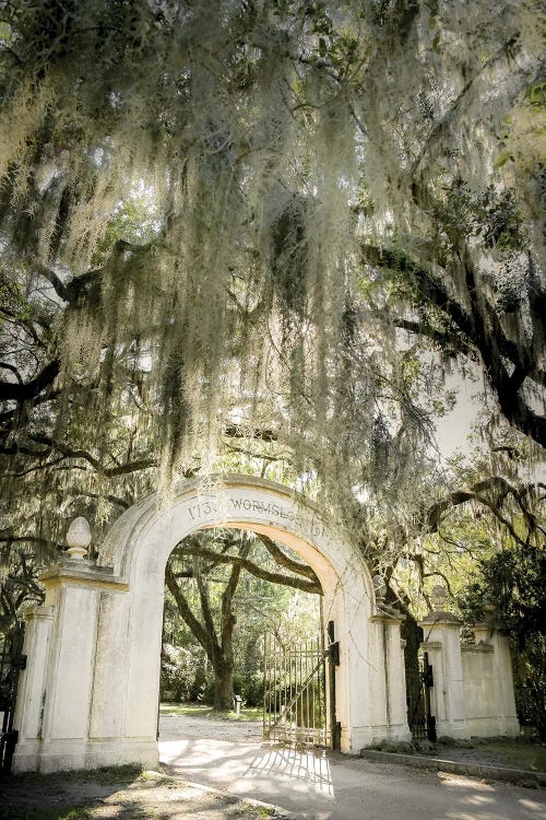 Wormsloe by Apryl Roland wall art