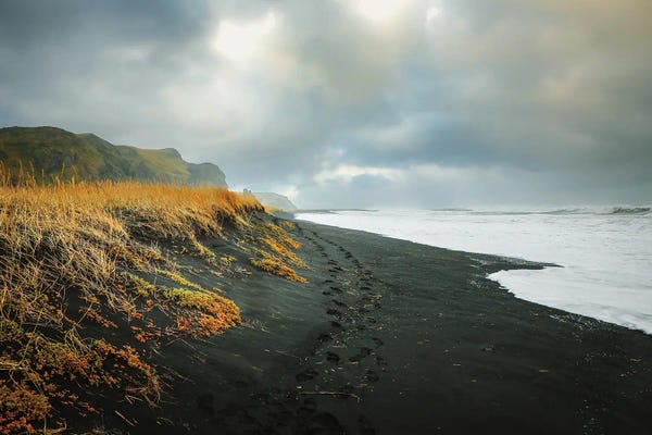 Iceland: Vik by Apryl Roland