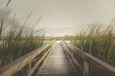 Dock by Apryl Roland framed wall art