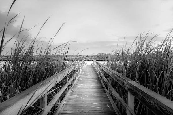 Apryl Roland: Dock Black And White by Apryl Roland