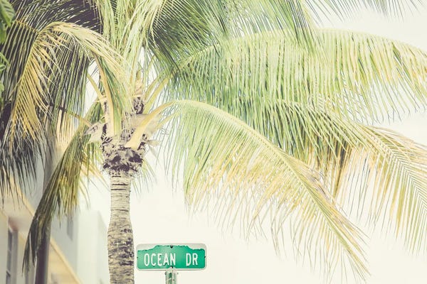 Fine Art Print: Ocean Dr by Apryl Roland