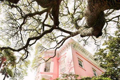 Pink Battery by Apryl Roland multi panel art