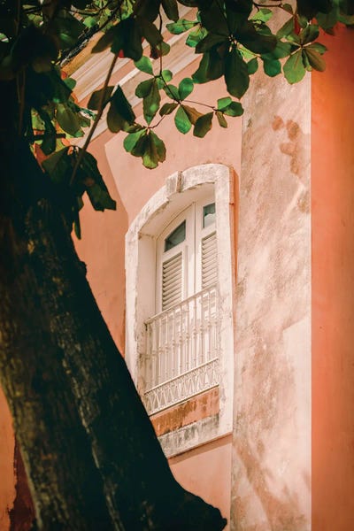 San Juan Window