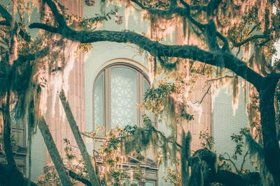 Apryl Roland - Framed Fine Art Prints: Savannah Curves by Apryl Roland