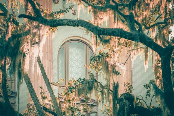 Apryl Roland: Savannah Curves by Apryl Roland
