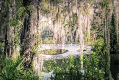 Apryl Roland - Framed Fine Art Prints: Southern Bridge by Apryl Roland