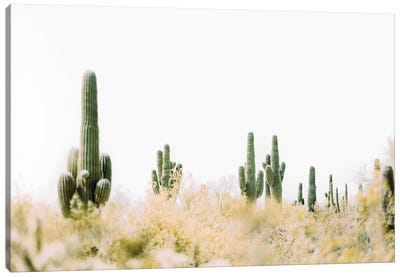Desert Bloom Canvas Art Print - Desert Landscape Photography