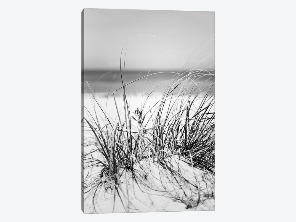 Dunes by Apryl Roland 1-piece Canvas Artwork