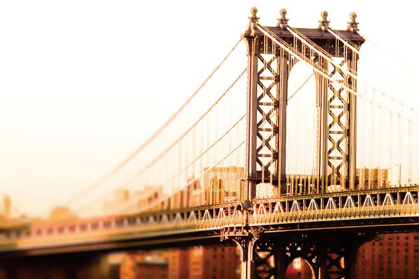 Fine Art Print: Golden Hour by Apryl Roland