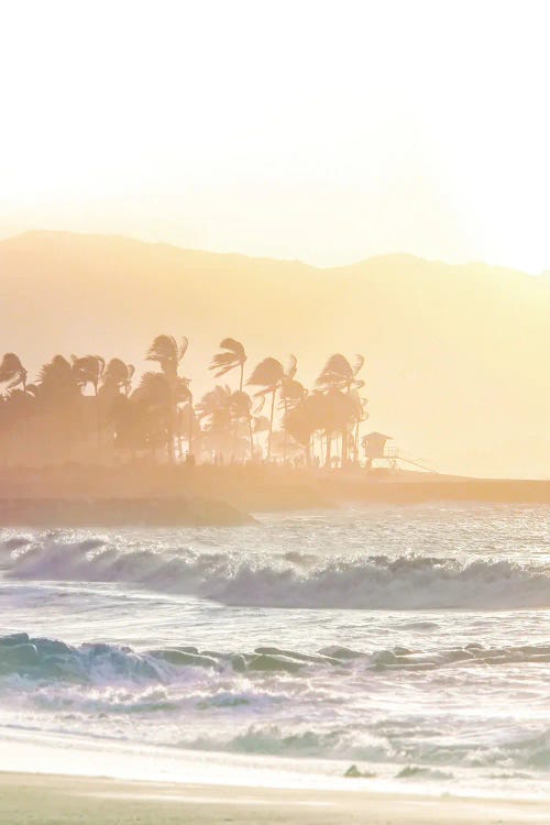 Haleiwa Mist