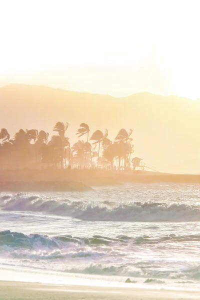 Apryl Roland: Haleiwa Mist by Apryl Roland