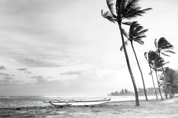 Fine Art Print: Haleiwa by Apryl Roland