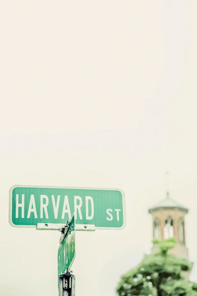 Novelty City Scenes: Harvard St by Apryl Roland