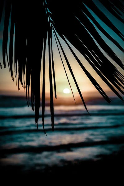 Tropical Leaves: Hawaiian Night by Apryl Roland