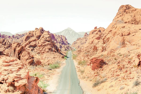 Nevada: Into The Fire by Apryl Roland