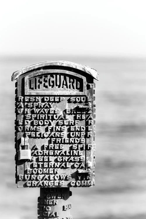 Lifeguard Box