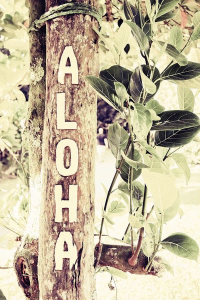 Novelty City Scenes: Live Aloha by Apryl Roland