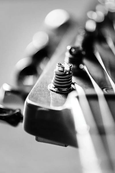 Still Life Photography: Wound by Apryl Roland