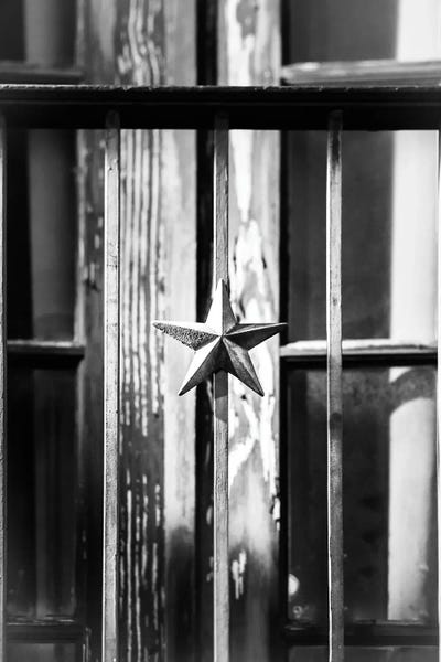 Canvas Print: Texas Star Black And White by Apryl Roland