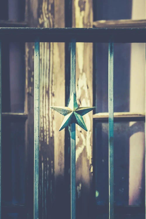 Texas Star by Apryl Roland wall art