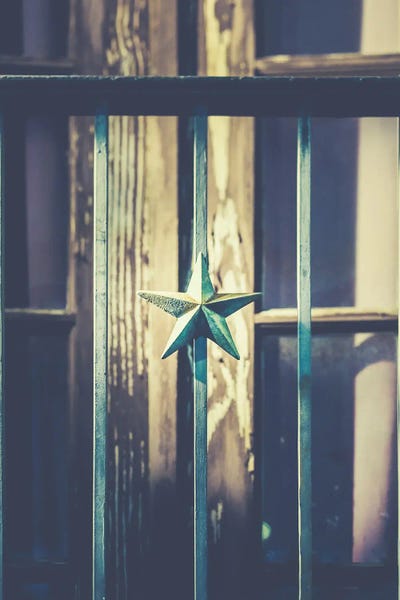 Sepia Photography: Texas Star by Apryl Roland