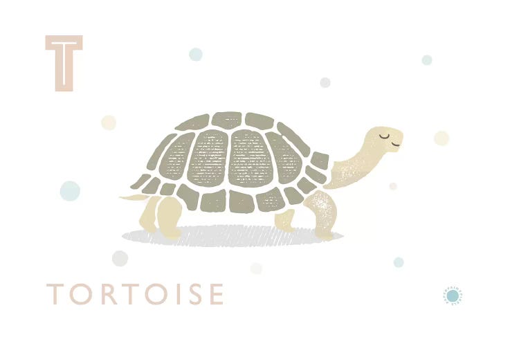 Tortoise by PaperPaintPixels wall art