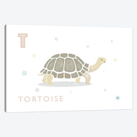 Tortoise Canvas Print #PPX109} by PaperPaintPixels Canvas Print