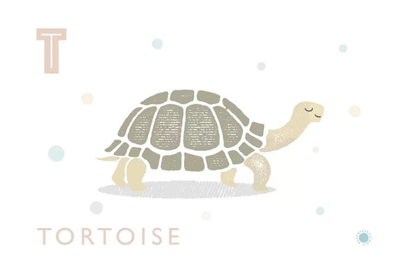 The Letter T: Tortoise by PaperPaintPixels