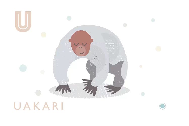 Uakari by PaperPaintPixels wall art