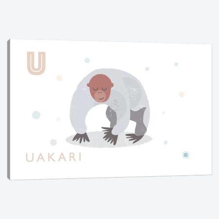 Uakari Canvas Print #PPX114} by PaperPaintPixels Canvas Print