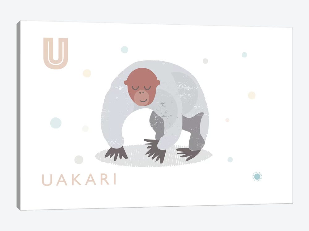 Uakari by PaperPaintPixels 1-piece Canvas Print