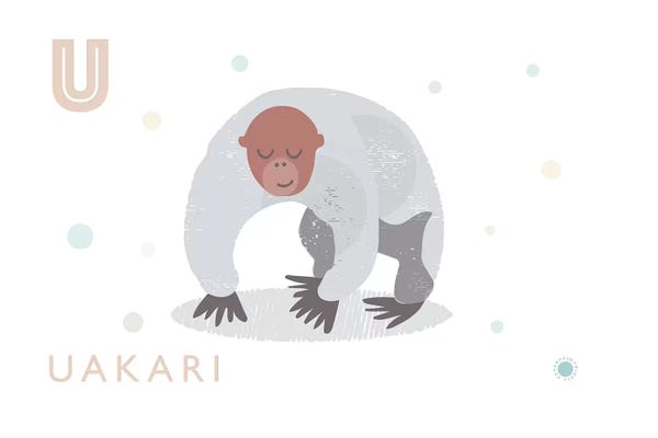 The Letter U: Uakari by PaperPaintPixels
