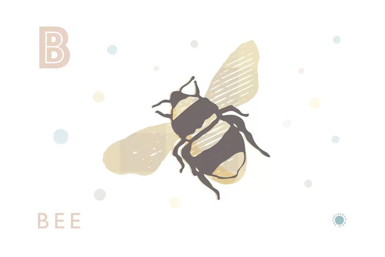 B Is For Bee