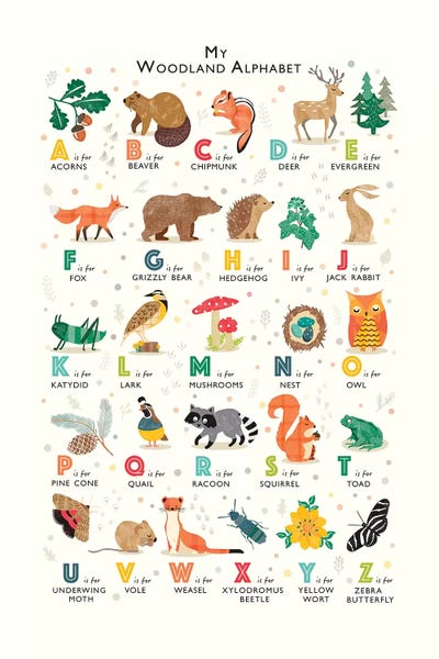 Alphabet: Woodland Alphabet by PaperPaintPixels