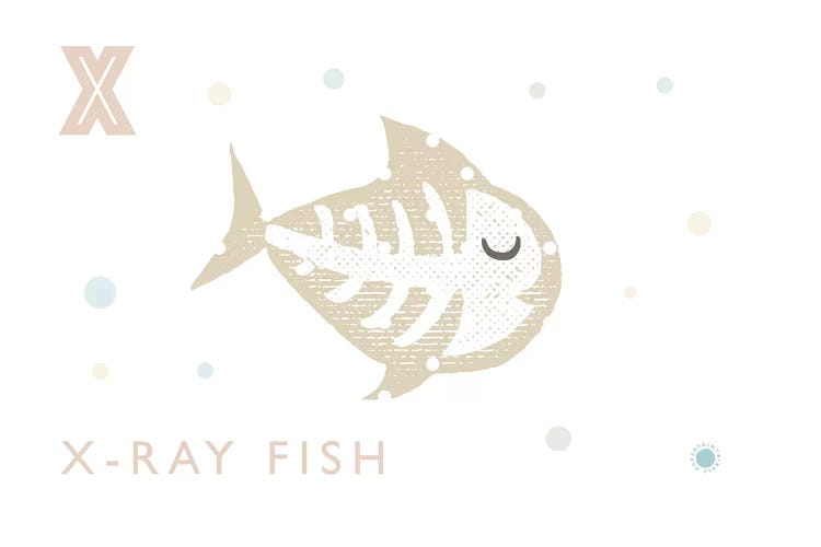 Xray Fish by PaperPaintPixels wall art