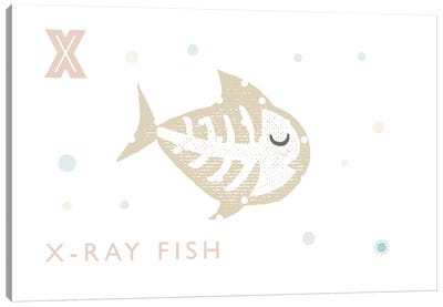 Xray Fish Canvas Art Print - Letter X