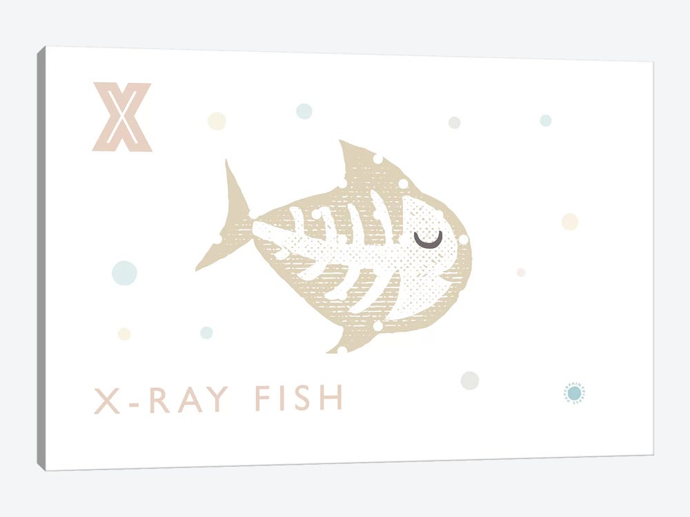 Xray Fish by PaperPaintPixels 1-piece Canvas Art Print