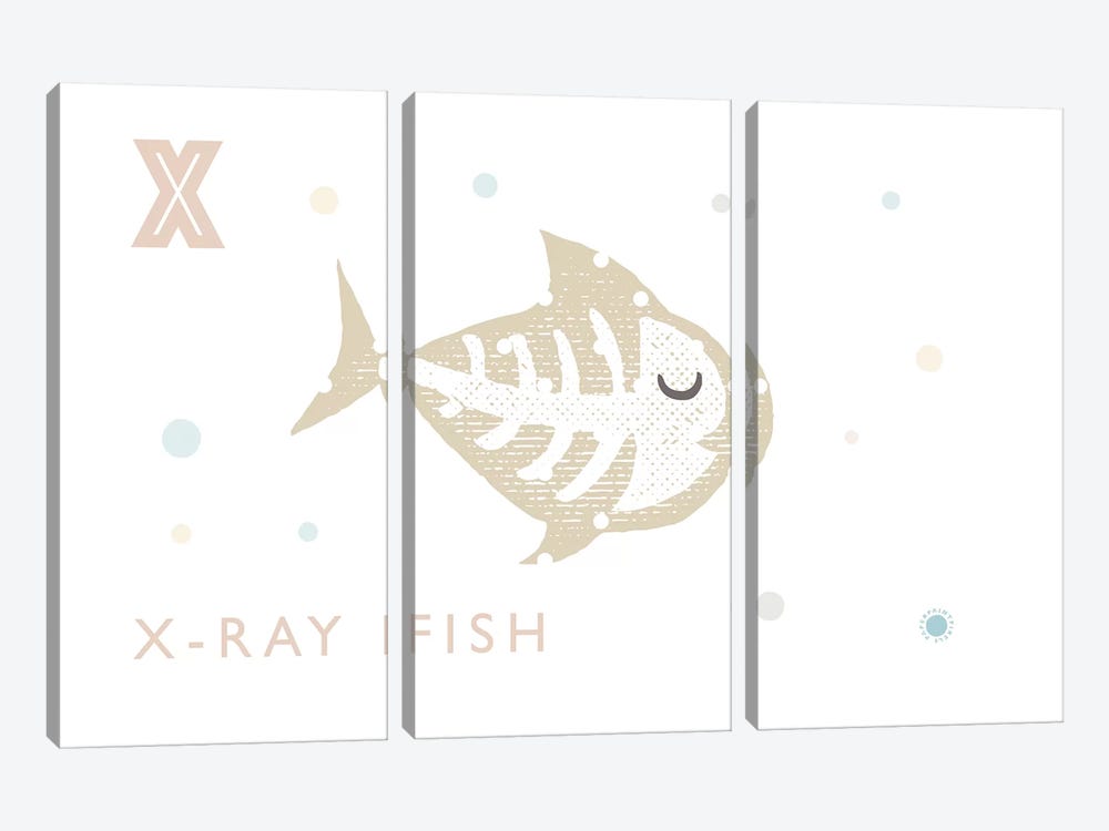 Xray Fish by PaperPaintPixels 3-piece Canvas Print