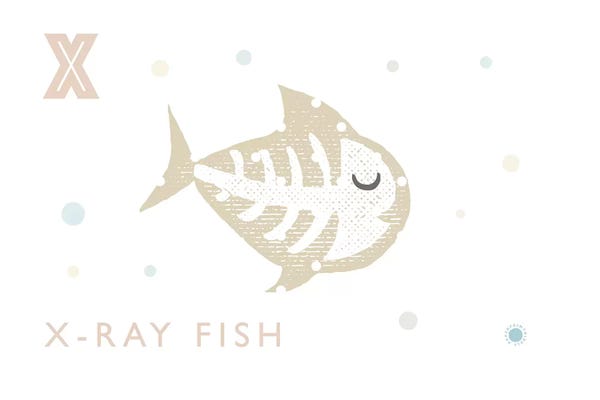 The Letter X: Xray Fish by PaperPaintPixels
