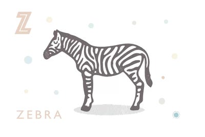 Zebra by PaperPaintPixels multi panel art