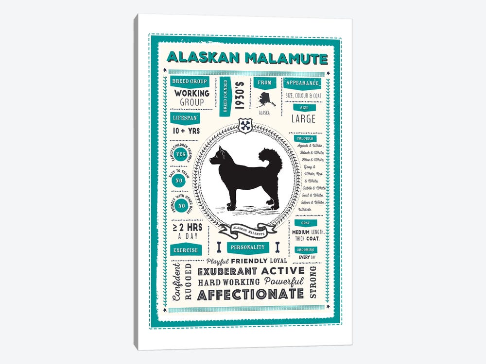 Alaskan Malamute Infographic Blue by PaperPaintPixels 1-piece Canvas Wall Art