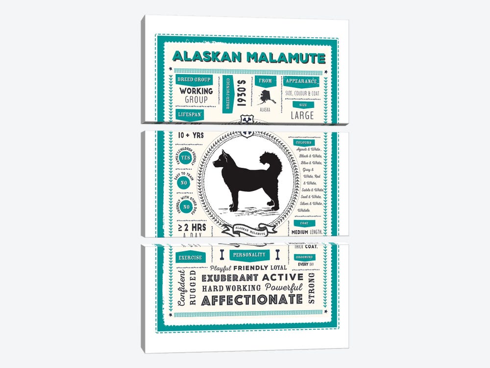 Alaskan Malamute Infographic Blue by PaperPaintPixels 3-piece Canvas Artwork