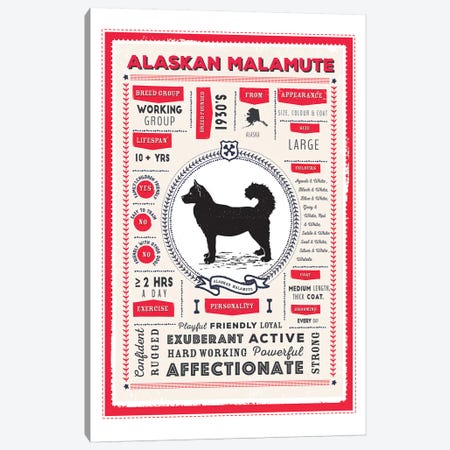 Alaskan Malamute Infographic Red Canvas Print #PPX183} by PaperPaintPixels Canvas Print