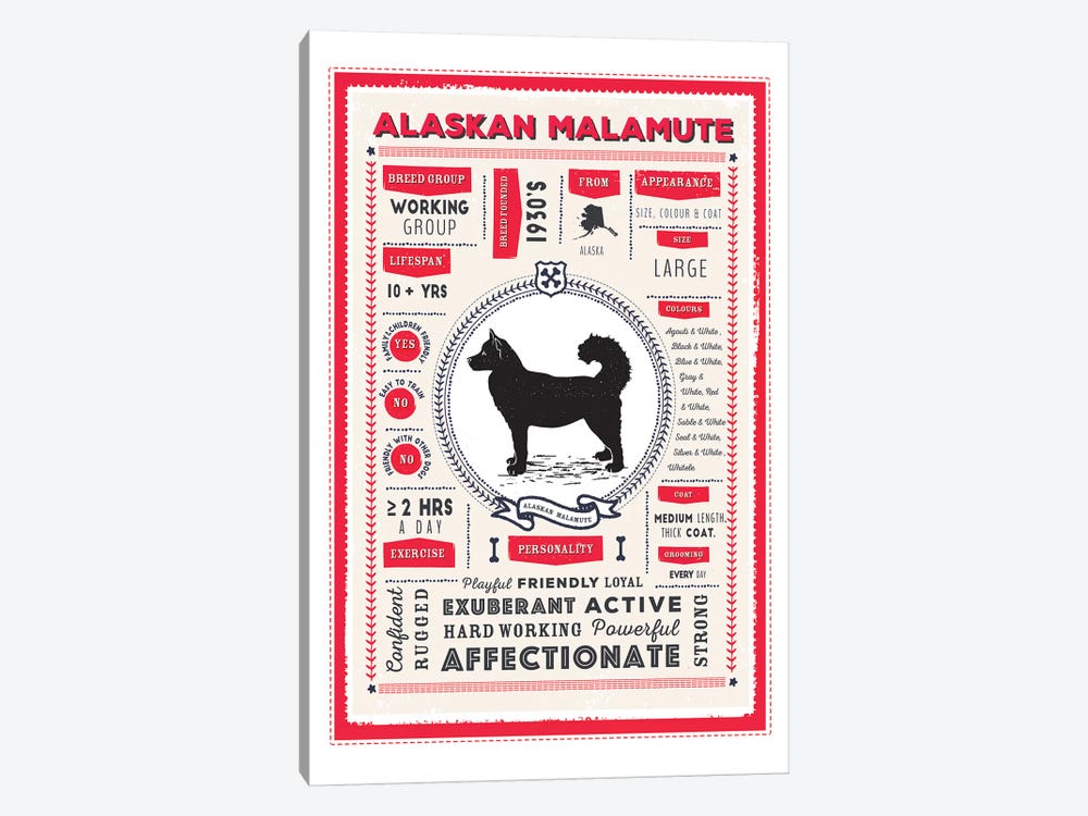 Alaskan Malamute Infographic Red by PaperPaintPixels 1-piece Canvas Art Print